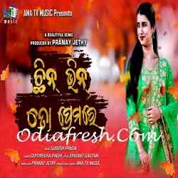 Chhin Bhin To Premare